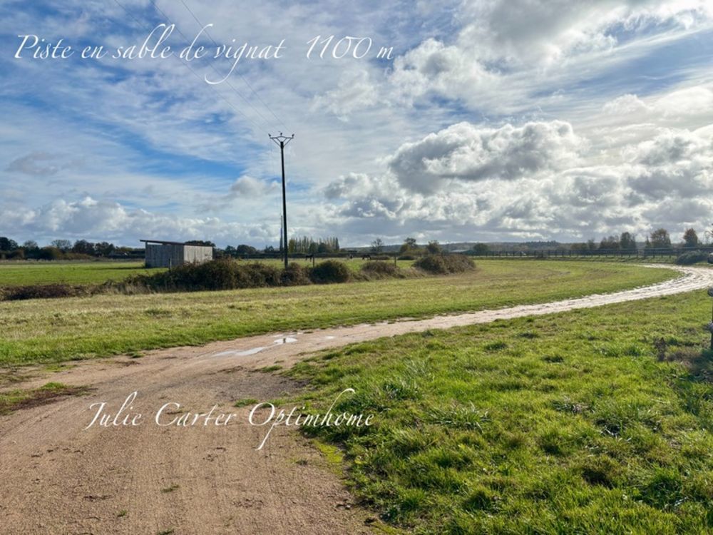 � vendre  Propri�t�/ch�teau Avoine (61150)