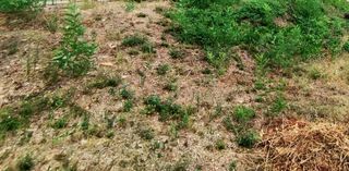  Terrain � vendre 850 m�