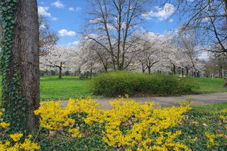  Appartement � vendre 4 pi�ces 91 m�