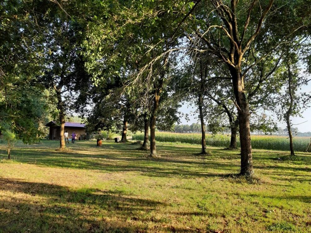 � vendre  Maison Soustons (40140)