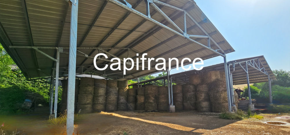 � vendre  Propri�t�/ch�teau Aubin (12110)