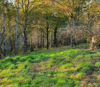  Terrain � vendre 1873 m�