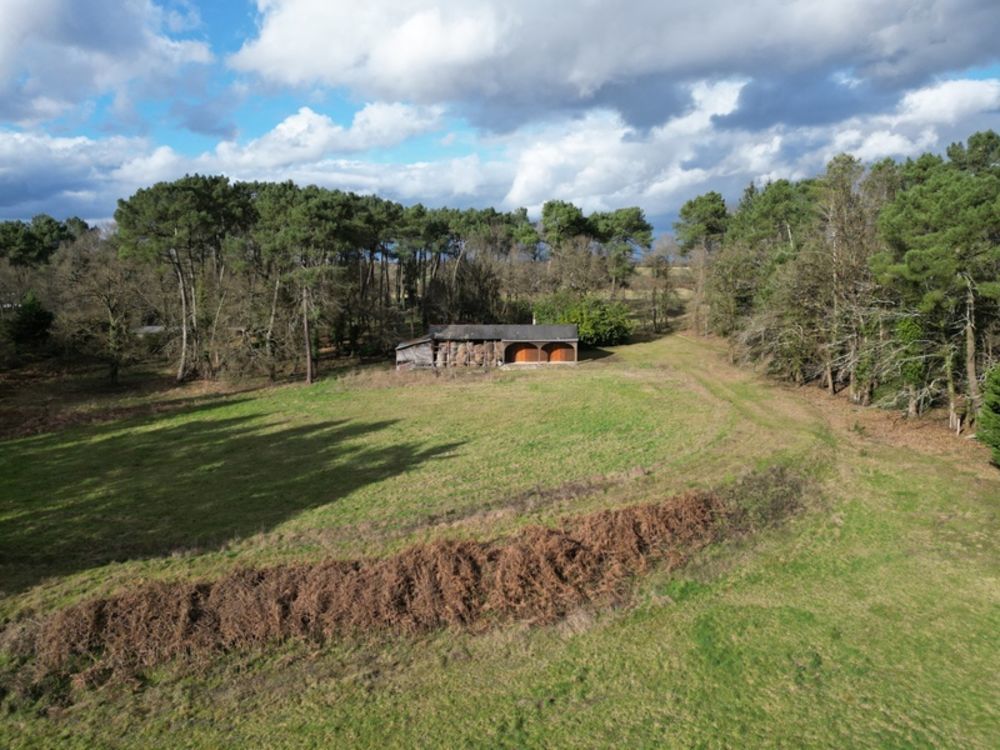 � vendre  Propri�t�/ch�teau Lini�res-Bouton (49490)