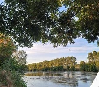  Terrain � vendre 463 m�