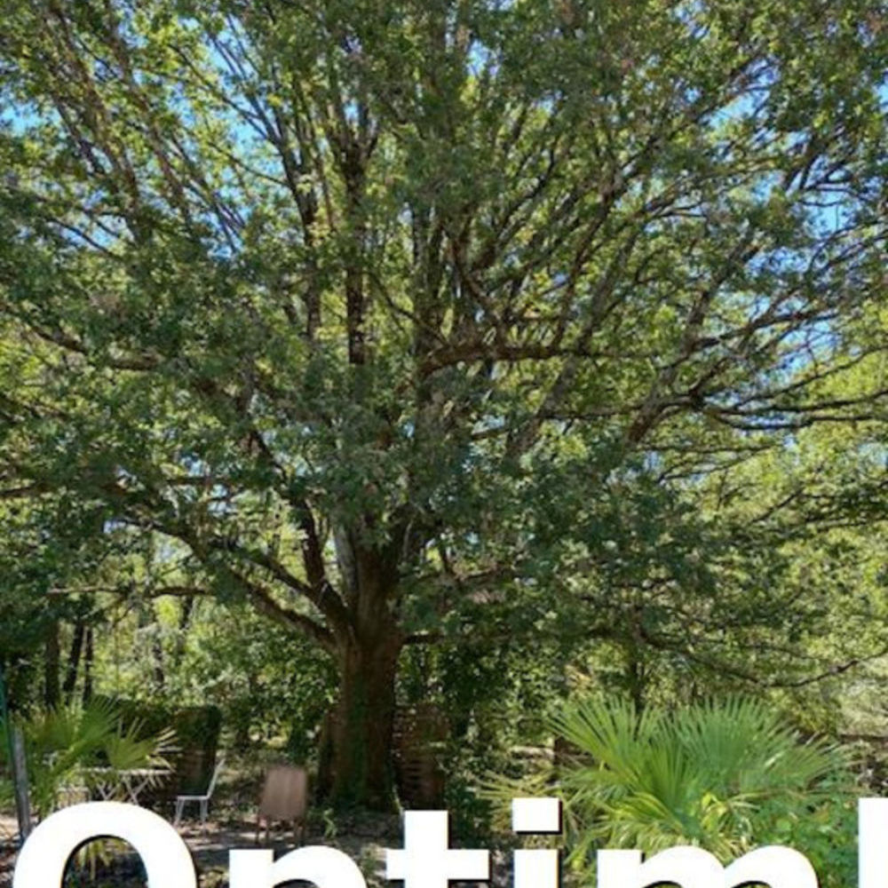 � vendre  Propri�t�/ch�teau Blanquefort (33290)