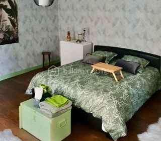  Immeuble � vendre 10 pi�ces 430 m�