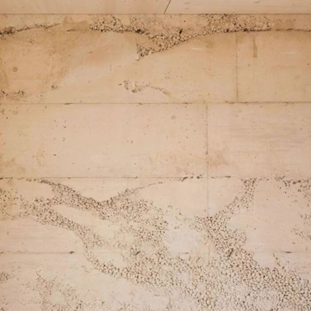 � vendre  Propri�t�/ch�teau Saint-Cyr-au-Mont-d'Or (69450)