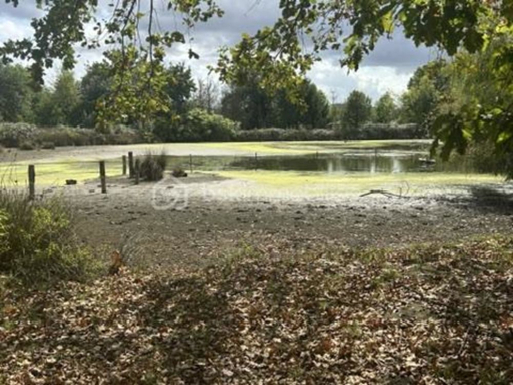 � vendre  Propri�t�/ch�teau Agen (47000)