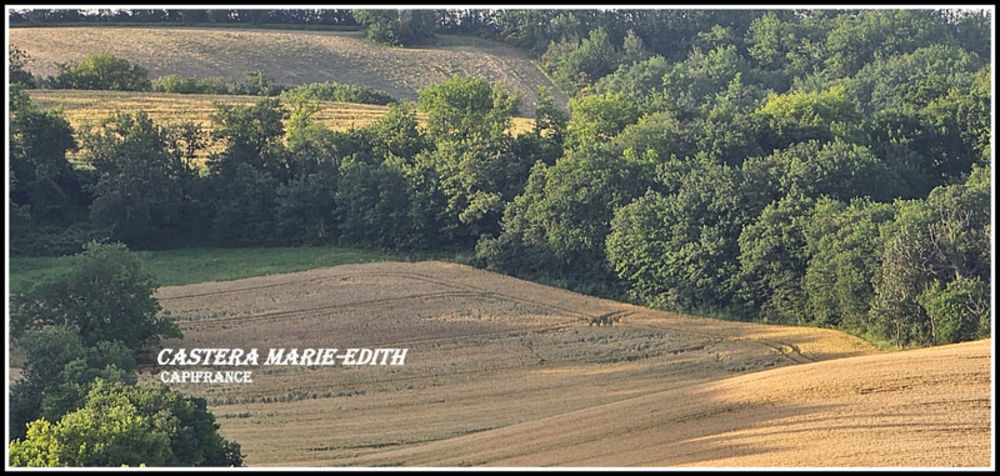 � vendre  Propri�t�/ch�teau Auch (32000)