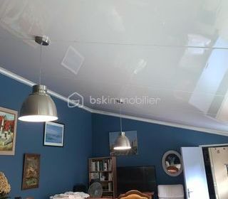  Maison � vendre 7 pi�ces 636 m�