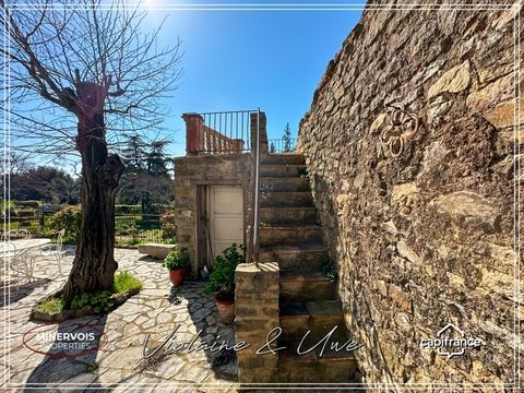   Mas en pierre & vignoble AOC � Domaine rare avec potentiel �notouristique - Minervois Maison - 15 + pi�ce(s) - 446 m�