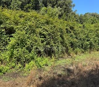  Terrain � vendre 3380 m�