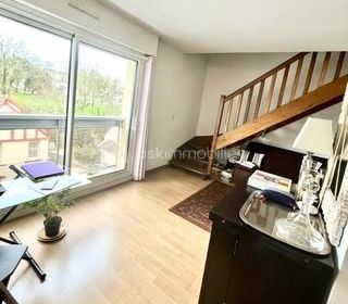  Duplex/triplex � vendre 2 pi�ces 46 m�