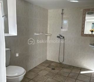  Propri�t�/ch�teau � vendre 6 pi�ces 250 m�