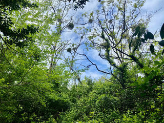  Terrain � vendre 2300 m�