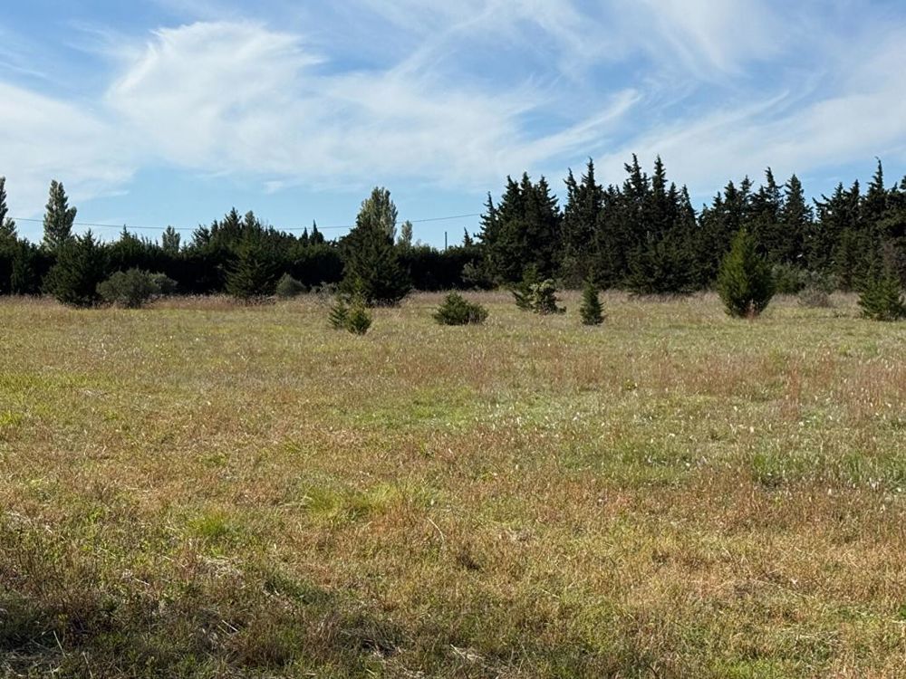 � vendre  Maison Arles (13200)