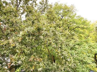  Appartement � vendre 4 pi�ces 77 m�