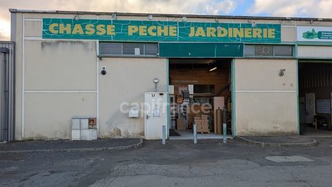 Dpt Calvados (14), &agrave; vendre FALAISE - Fonds de Commerce d'Armurerie, Chasse, P&ecirc;che et Apiculture 60000 14700 Falaise