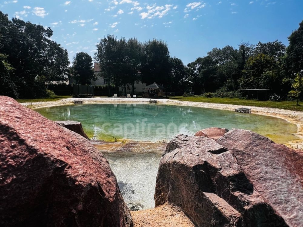 � vendre  Propri�t�/ch�teau Anais (17540)