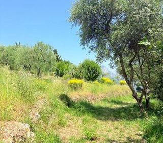  Terrain � vendre 1562 m�