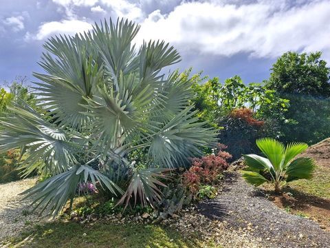   Marie Galante - Terrain de 1 611m� vue mer avec maison en construction Maison - 6 pi�ce(s) - 160 m�