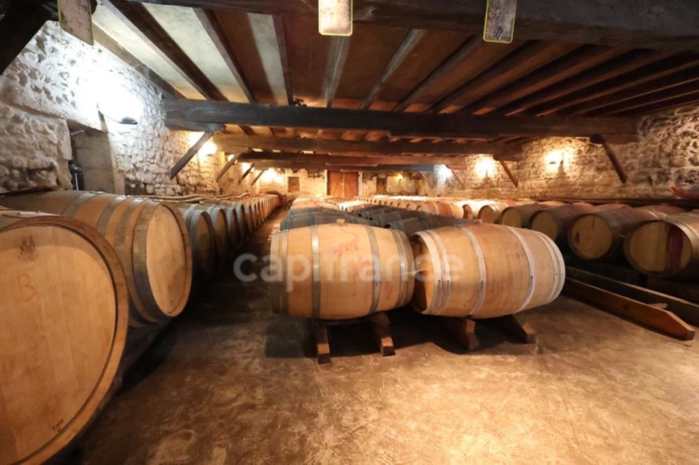 � vendre  Propri�t�/ch�teau Saint-Yzans-de-M�doc (33340)