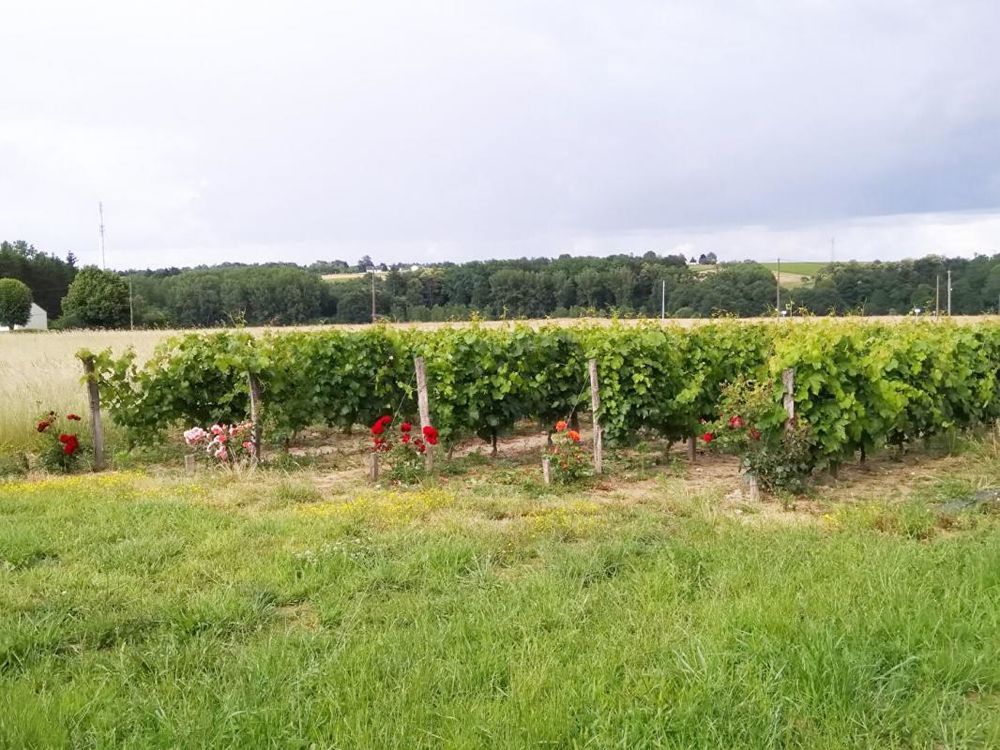 � vendre  Maison Saint-Aignan (41110)