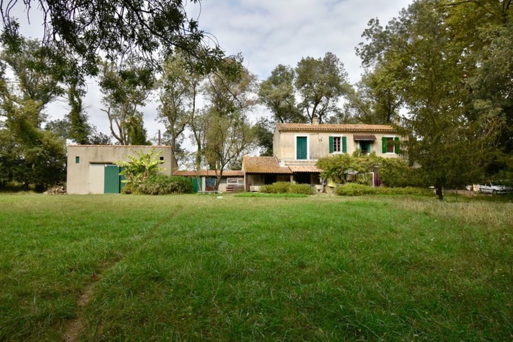 � vendre  Maison Fontvieille (13990)