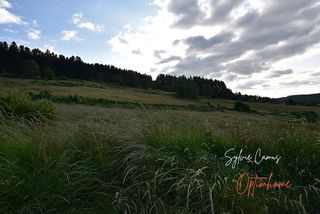  Terrain � vendre 1018 m�