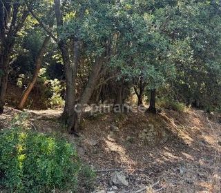  Terrain � vendre 3380 m�