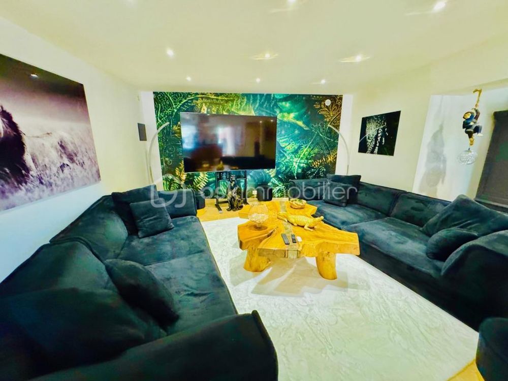 � vendre  Propri�t�/ch�teau Corbi�res (04220)