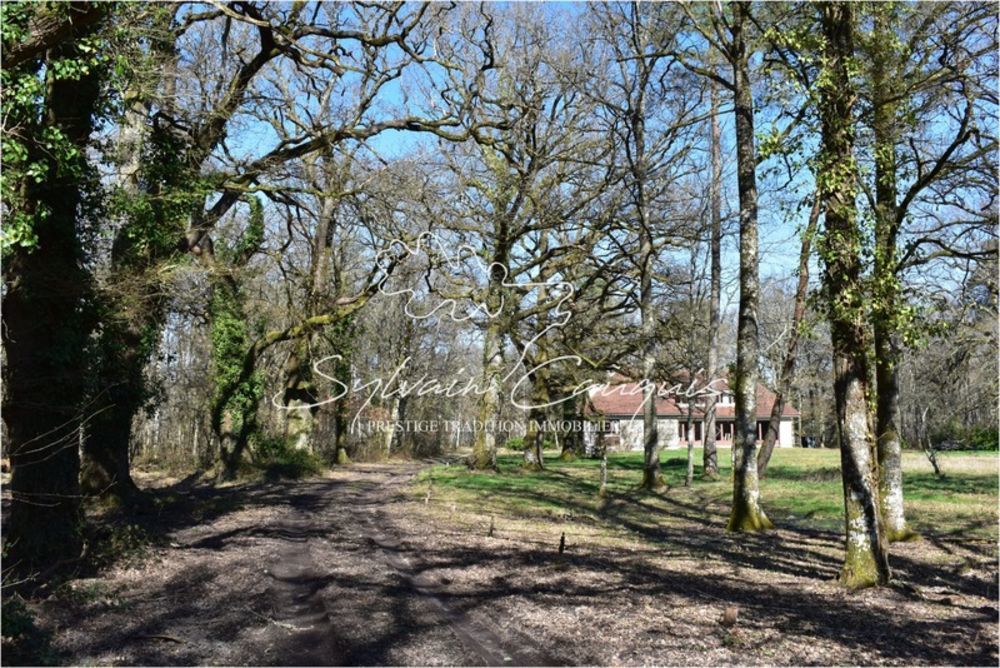 � vendre  Propri�t�/ch�teau Lamotte-Beuvron (41600)