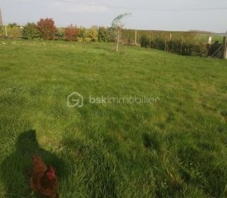  Terrain � vendre 501 m�