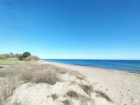   Appartement T2, r�sidence bord de mer et piscine � POGGIO MEZZANA (HAUTE CORSE) Appartement - 2 pi�ce(s) - 34 m�