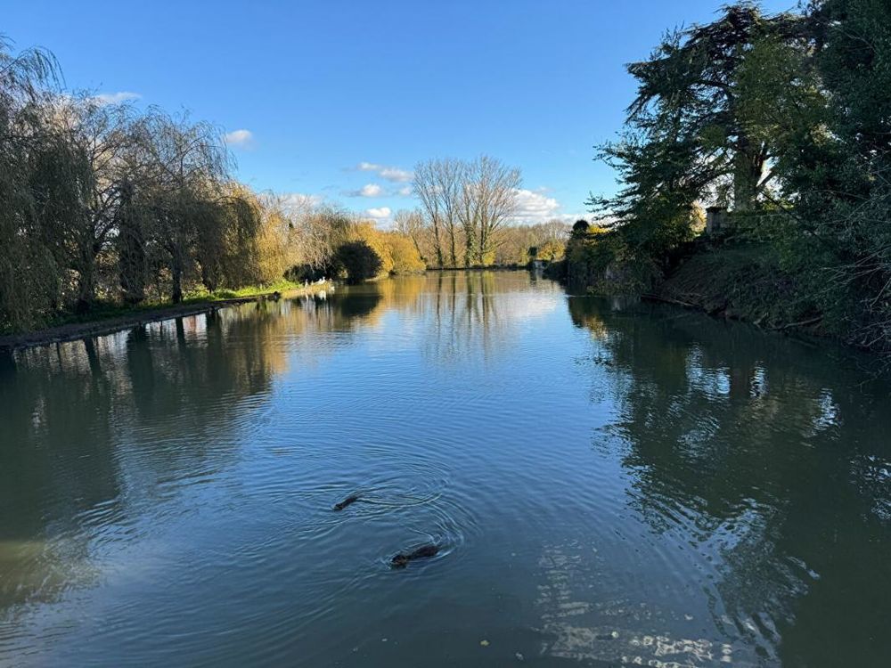 � vendre  Propri�t�/ch�teau Saint-�milion (33330)