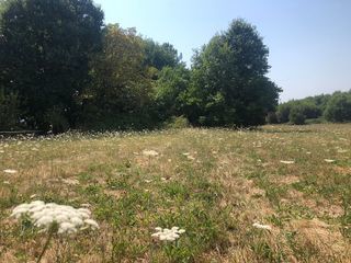  Terrain � vendre 1762 m�