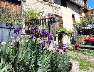  Maison � vendre 8 pi�ces 250 m�