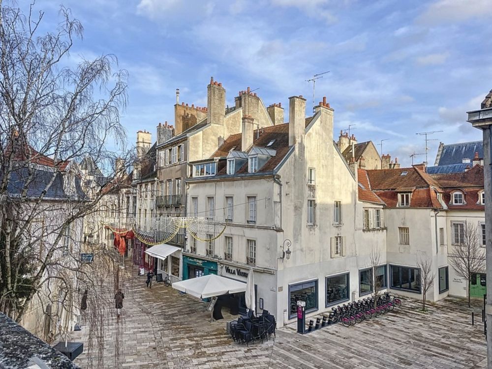 � vendre  Appartement Dijon (21000)