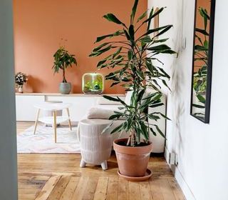  Appartement � vendre 2 pi�ces 41 m�