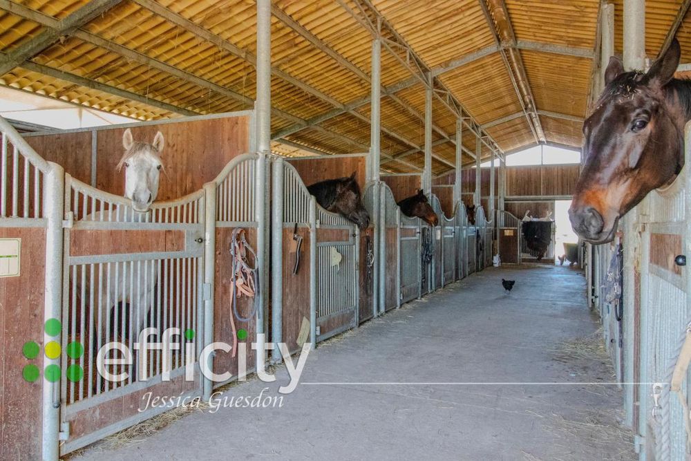 � vendre  Maison Bouin (85230)