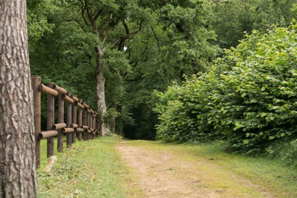 � vendre  Propri�t�/ch�teau Mondion (86230)