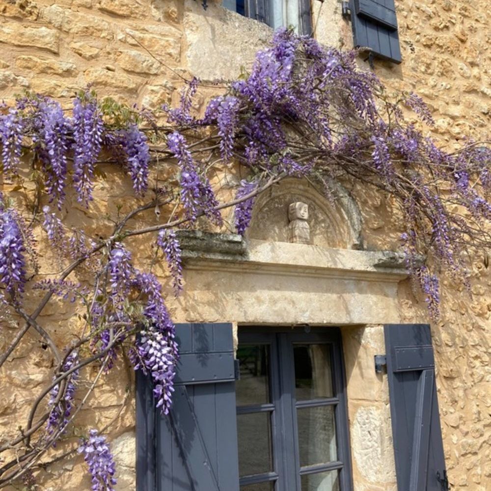 � vendre  Maison Vergt (24380)