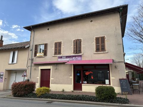 Locaux/Biens immobiliers 200000 01990 Chaneins