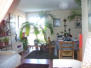  Appartement � louer 1 pi�ce 11 m�