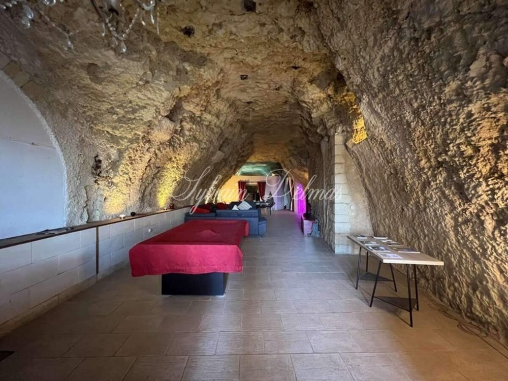 � vendre  Propri�t�/ch�teau Amboise (37400)