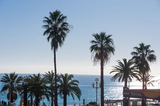  Appartement � louer 2 pi�ces 54 m�