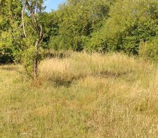  Terrain � vendre 2541 m�