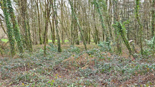  Terrain � vendre 1676 m�