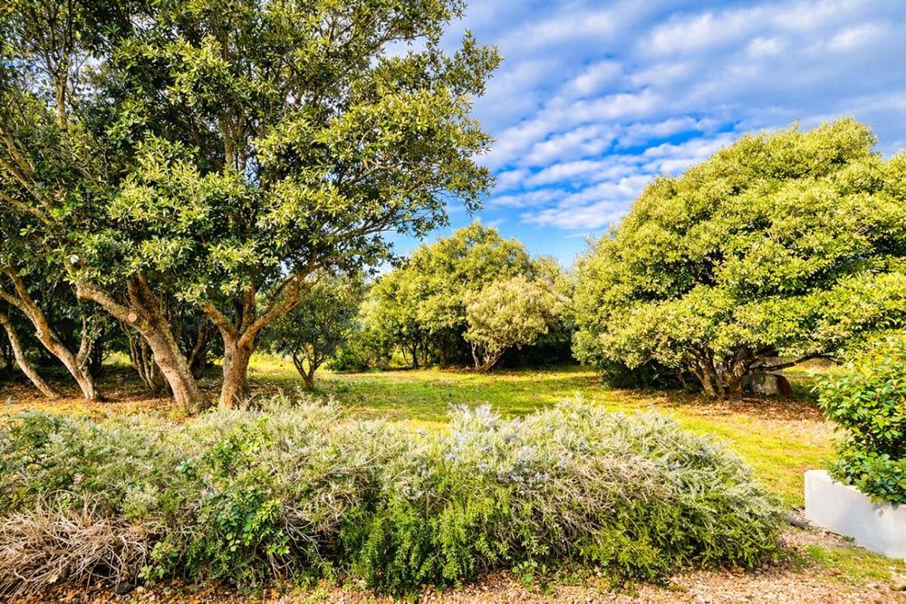 � vendre  Maison Bonifacio (20169)