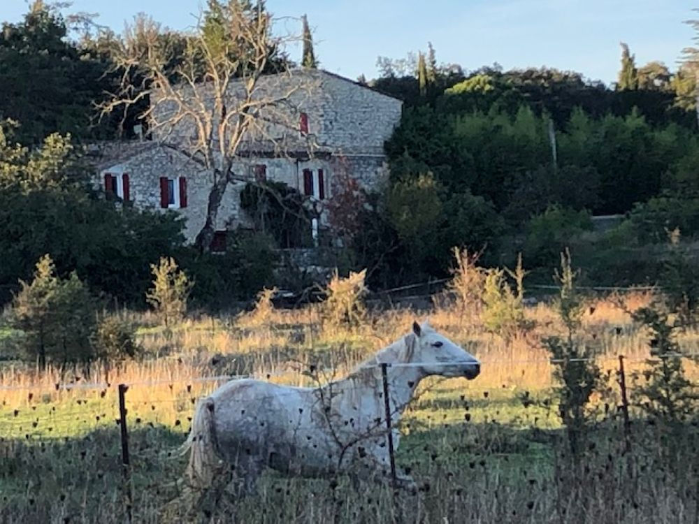 � vendre  Propri�t�/ch�teau Tornac (30140)